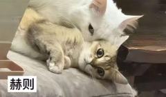 伟大的引导型恋人
“许则，请不要和我保持距离”
"因为没进 