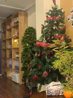 方仲庭:胖胖
裴南洲:阿灿
林风儿:六月
锦荷:nini
太