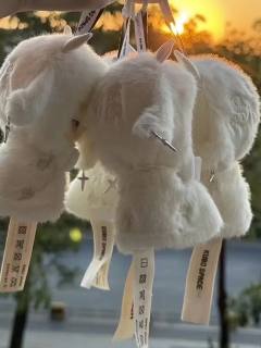 千呼万唤，kubo终于要出毛绒挂件了！这圆滚滚的大脑袋，谁说