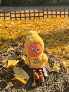 ✨太太太可爱了！！