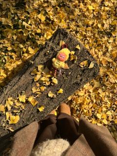 ✨太太太可爱了！！