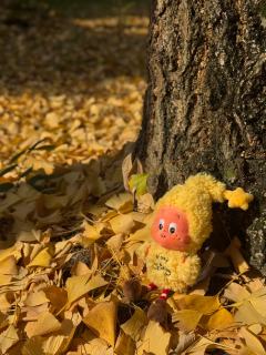 ✨太太太可爱了！！