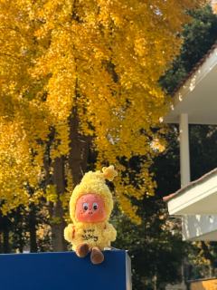 ✨太太太可爱了！！