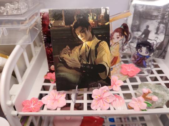 太好看了我不行了