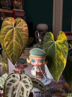 奖励了我的白月光
元年小画家Molly复刻版
真的太有意义了