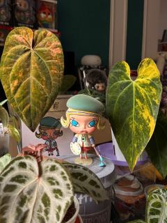 奖励了我的白月光
元年小画家Molly复刻版
真的太有意义了