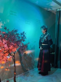 山茱萸的弓是什么意思我懂了，
这山下真的没有小渔村好玩，
忆