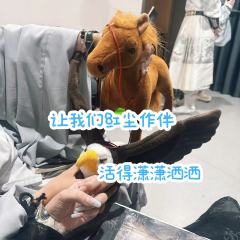 其一生如断剑藏锋,初为父命折翼,终因家国开刃。
“喝杯水吧
