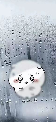 吉伊卡哇背景图，点一个赞再拿走吧😉