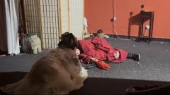 
剧本：琼崖2海角
角色：剑二🗡️
时长：9-10h
店家