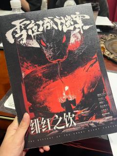 #雪夜城谜案
一个值得9分的全能型硬核本，如果有些玩家觉得太