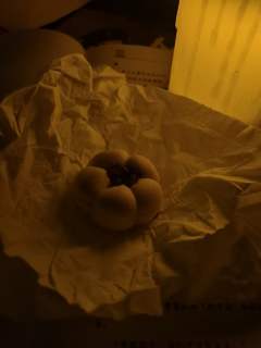 “你又不是一辈子为我而活。”
“当妈的不就这样吗。”
体验剧