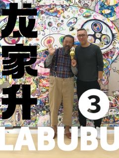 讲点龙老师和 Labubu 的故事吧
这系列的开篇就当是把自