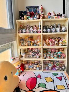 新家怎么能没有盲盒柜呢