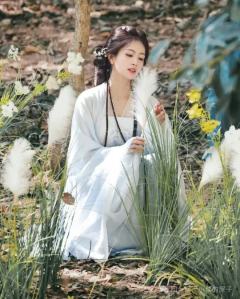 想要一个全是白鹿美照的评论区