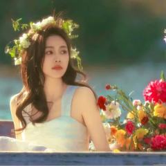 想要一个全是白鹿美照的评论区