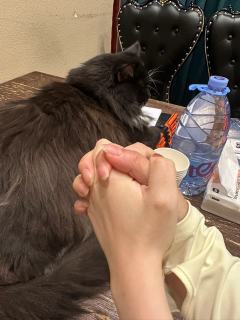 💋亲嘴推理，果然是真亲嘴！
夜场真的打完是真的亲累了，不想