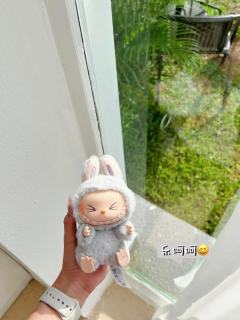 labubu 坐坐派对😍
刚拿到真的超级激动 因为我想要很