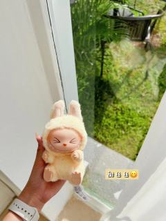 labubu 坐坐派对😍
刚拿到真的超级激动 因为我想要很