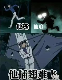 柯南梗图(非原创)(三连可拿)