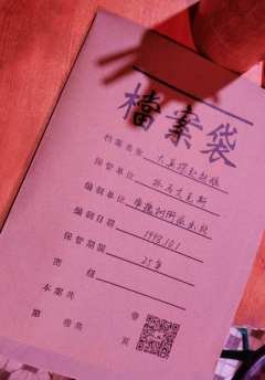 穿梭在90年代老北京胡同内破案,就问你来不来?
从大鹅肚子