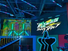 《疯狂星友团》:沉浸式探案综艺,追星新体验
一、剧情简介