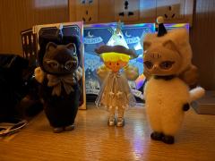 两个大爆磁，重的是黑猫，轻的是白猫，大明盒