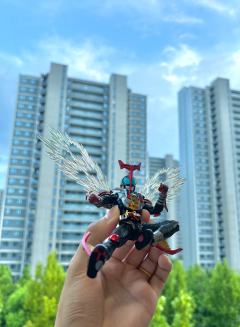 行天之道 总司一切

海帕甲斗 真骨雕💥