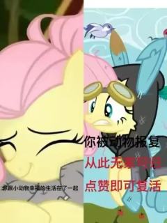 快来选！快来选！这期是柔柔篇！破10赞出紫悦篇！（图片非原创
