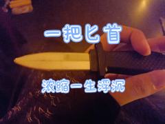 生生世世，大抵是，生生亏欠，世世偿还。
活着来见，已用尽全部