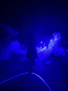 《多蟲天》测评
剧本类型：互动演绎 装x 南中
剧本时长：1