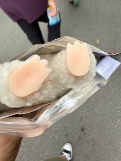 丑到不敢看第二眼，抖音店铺“卡哇伊玩具馆1”大家避雷