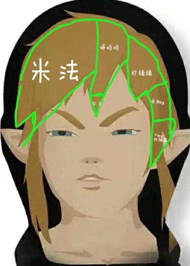 论林克的脑子