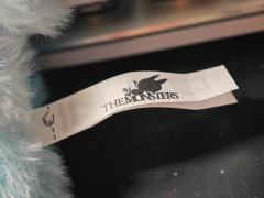 正版labubu  局部细节放大