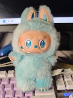 正版labubu  局部细节放大