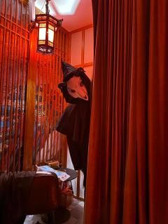 剧情设计还不错，故事还是非常吸引人的，设计的非常有意思，整体