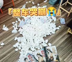 周末补课了老本《烟云南渡》，真的太难了呀。
背景基调还是大红