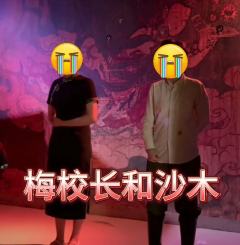 周末补课了老本《烟云南渡》，真的太难了呀。
背景基调还是大红