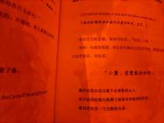小黛，有爱就会归来 
dm:羌青瓷 周周
       奥丁