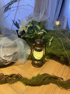 百鸟朝凤｜把自己活成一道光
⏰时长约75分钟（含10分钟谢幕