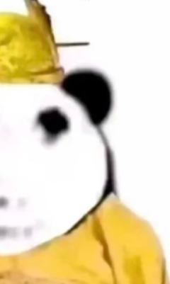 德拉科左脸一般，右脸却有帝王之相