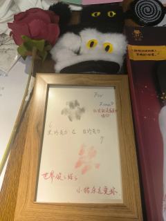 如果你三部恰好都喜欢，特别联动版就是洗劫系列最棒的情书～

