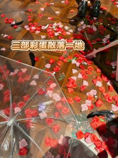 如果你三部恰好都喜欢，特别联动版就是洗劫系列最棒的情书～

