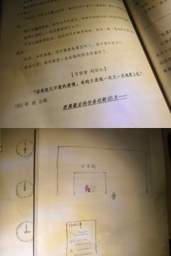 开分较低，然后不出意外还会持续走低，这是《人生海》应得的

