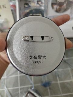 正的还是盗的。