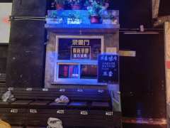沉浸式戏剧|大真探赵赶鹅repo
看了《大真探赵赶鹅》！真的