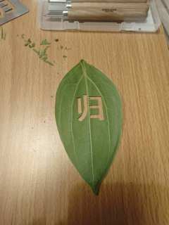 归桑梓，桑梓酒，是思乡的愁肠在婉转呢喃。
区区72海里，那是