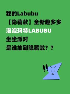 我的Labubu
【隐藏款】全新趣多多泡泡玛特LABUBU+