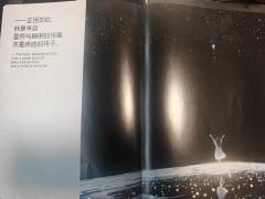 剧本：关于Y的奇迹
• 类型：设定 / 密室 / 还原
• 