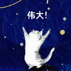 剧本：关于Y的奇迹
• 类型：设定 / 密室 / 还原
• 